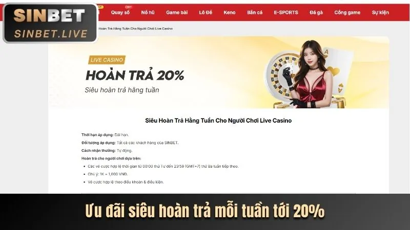 Chương trình VIP và phần thưởng độc quyền JK8